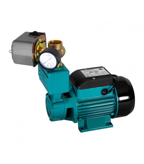 Pompa z osprzętem WZ 250 230V