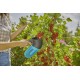 GARDENA combisystem - zrywaczka do owoców jagodowych