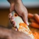 FISKARS Tarka, duże oczka