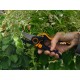 FISKARS Sekator nożycowy P981