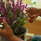 FISKARS Precyzyjne nożyczki do roślin z pojemnikiem Plant Care™